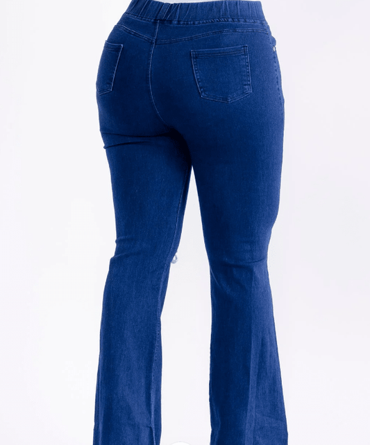 The Blue Ridge Distressed Denim - Rhett and Grace Co.